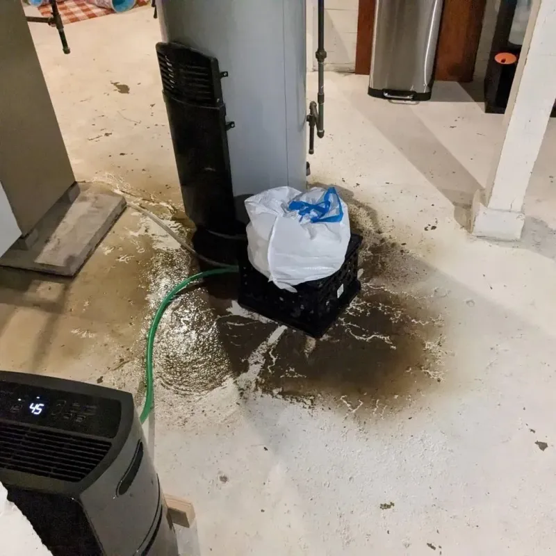 Sewage Backup Cleanup Service in Oakley, UT
